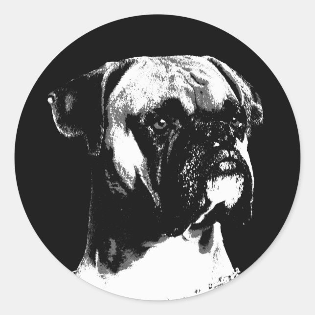 Adesivo Vinheta-boxer (Frente)
