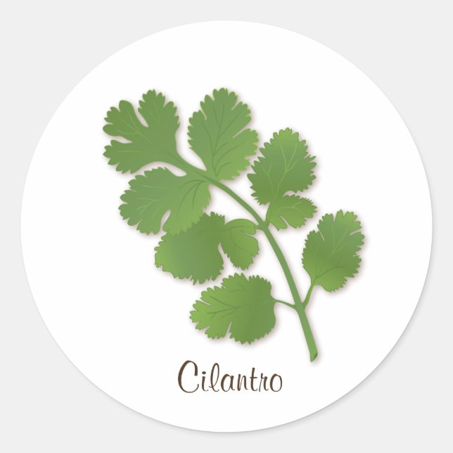 Adesivo Vinheta Cilantro (Frente)
