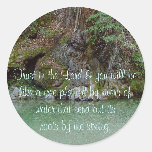 Adesivo Vinheta com foto de árvore por um rio (Frente)