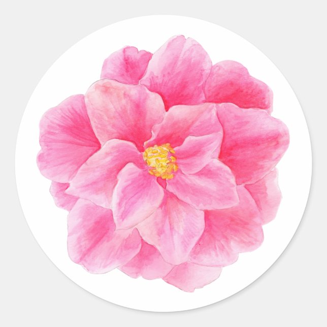 Adesivo Vinheta cor-de-rosa-camellia flor aquarela (Frente)