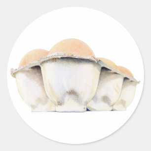 Adesivo Vinheta da embalagem de ovos