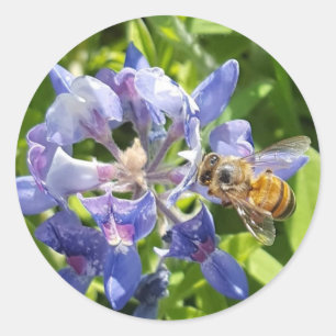 Adesivo Vinheta de abelha