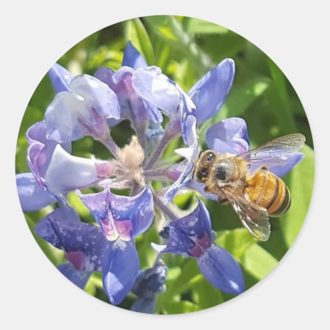 Adesivo Vinheta de abelha (Frente)