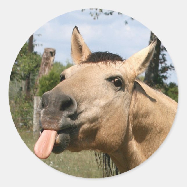 Adesivo vinheta de amora (Frente)