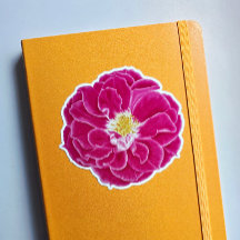 Vinheta de Arte Botânica Rosa de Bloqueio Rosa