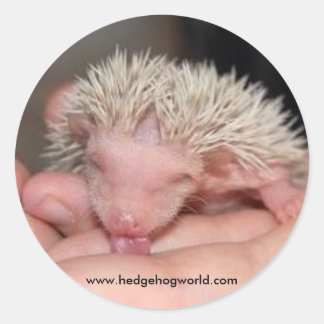 Adesivo Vinheta de bebê