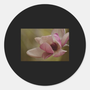 Adesivo Vinheta de Bloqueio de Sonhos Rosa Suave