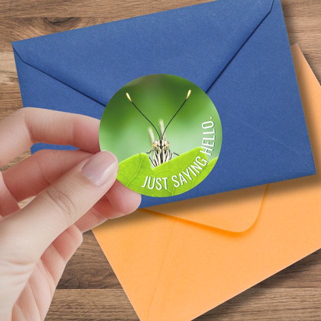 Adesivo Vinheta de borboleta de animais, multicasionalment (A cute grasshopper goes with just about any occasion when you might send a card to a friend. )