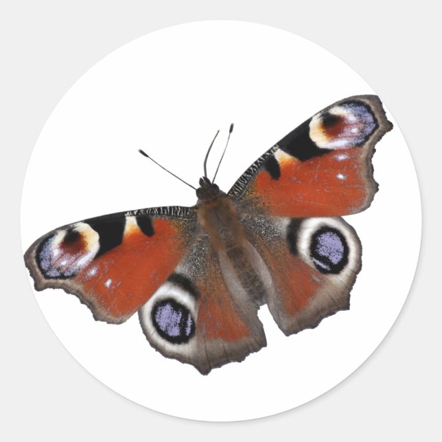 Adesivo Vinheta de borboleta de pavão (Frente)