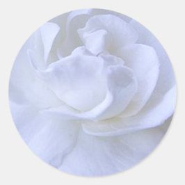 Adesivo Vinheta de Casamento Rosa Branca