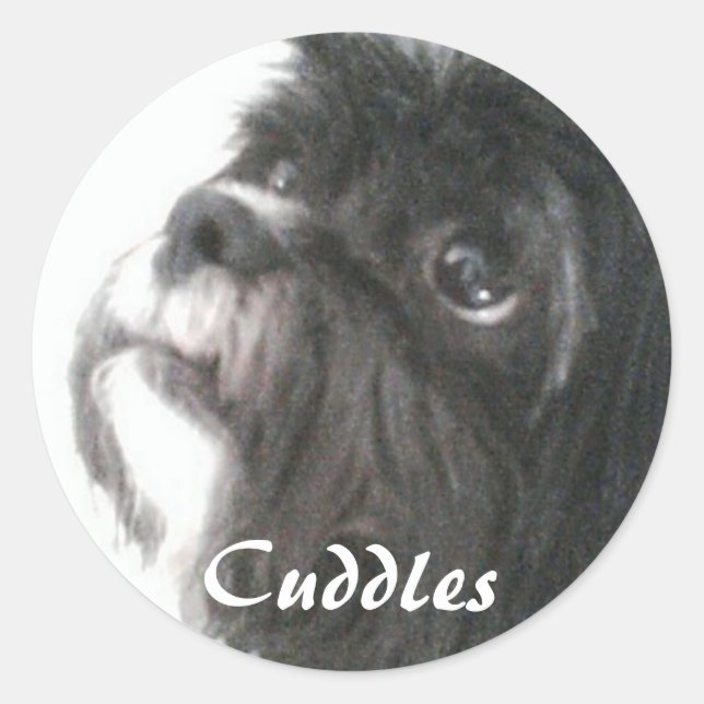 Adesivo Vinheta de Cuddles (Frente)