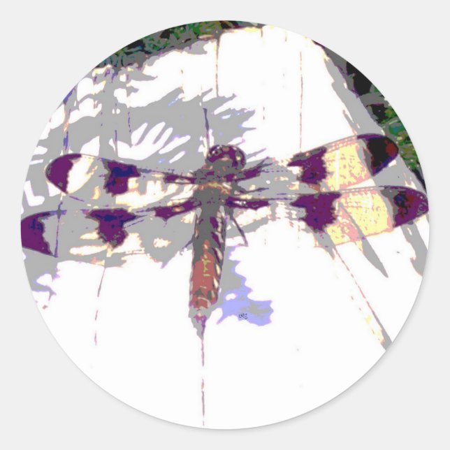Adesivo Vinheta de Dragonfly (Frente)