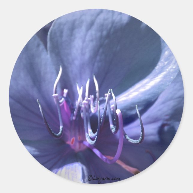 Adesivo Vinheta de Envelope Violeta Azul (Frente)