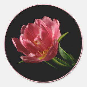 Adesivo Vinheta de fecho de envelope de coluna de primaver