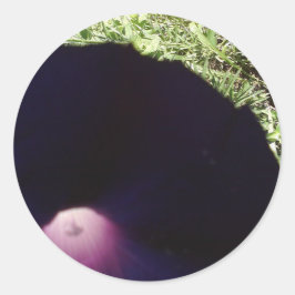 Adesivo Vinheta de Flor de Glândula Roxo