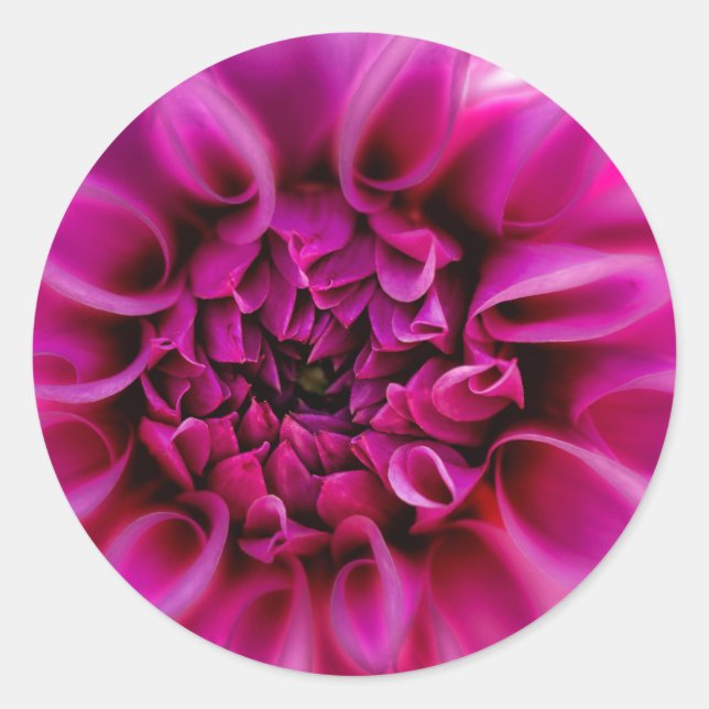 Adesivo Vinheta de Flor Rosa (Frente)