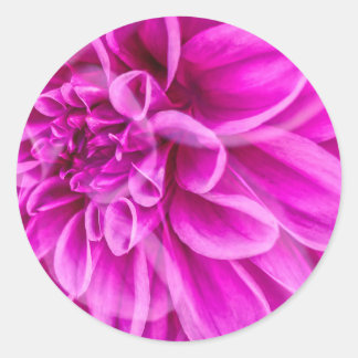 Adesivo Vinheta de Flor Rosa