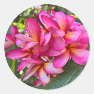 Adesivo Vinheta de Flor Tropical