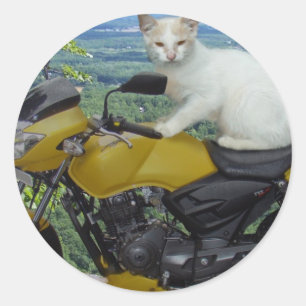 Adesivo Vinheta de Gato Biker