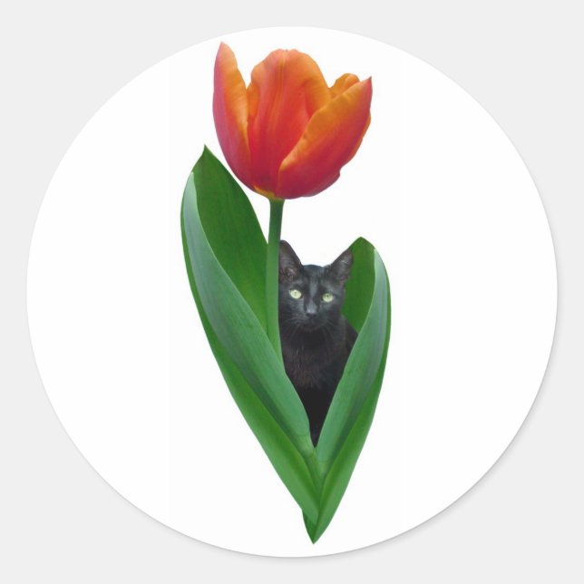 Adesivo Vinheta de Gato de Tulip (Frente)