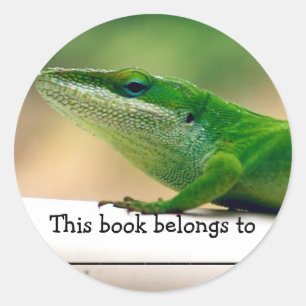Adesivo Vinheta de livros de anólios Lizard Lover