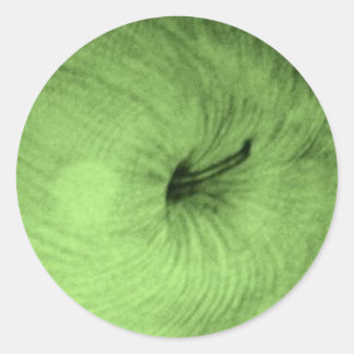 Adesivo Vinheta de Maçãs Verde