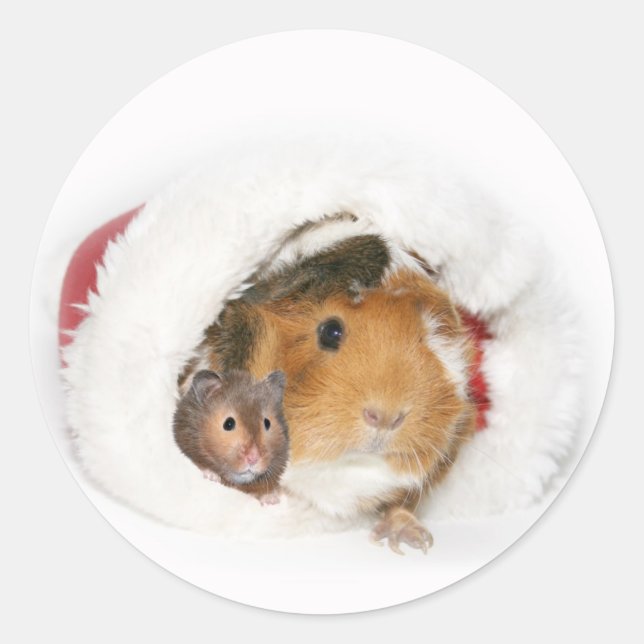 Adesivo Vinheta de Natal animal (Frente)