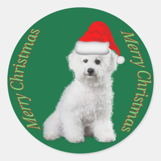 Adesivo Vinheta de Natal Bichon Frise (Frente)