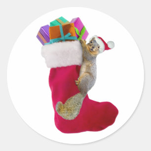 Adesivo Vinheta de Natal Esquilo