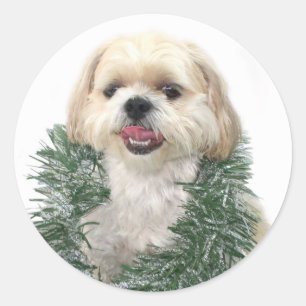 Adesivo Vinheta de Natal Shih Tzu