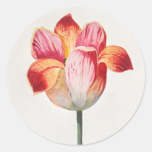 ADESIVO VINHETA DE NOME PERSONALIZADO DE TULIP ROUND