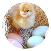 Vinheta de Páscoa correspondente