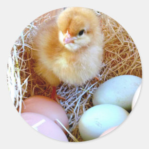 Adesivo Vinheta de Páscoa correspondente