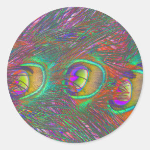 Adesivo Vinheta de Penas de Peacock de Natal