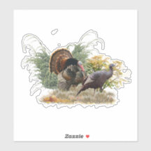 Vinheta de peru selvagem