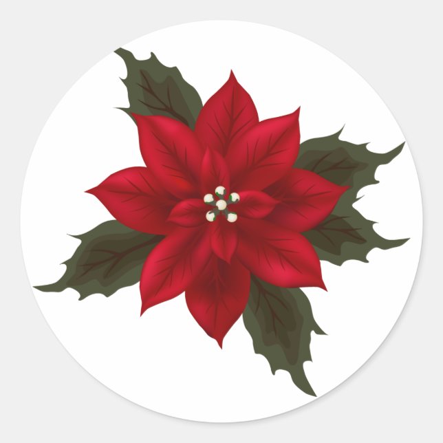 Adesivo Vinheta de Poinsettia Vermelha Natal (Frente)