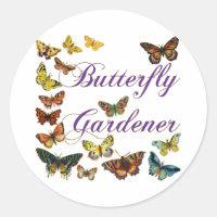 Vinheta de pulverização de jardinagem de borboleta