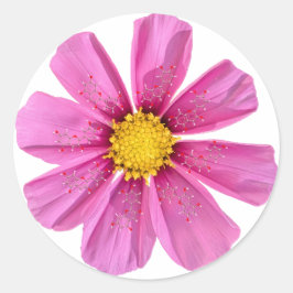 Adesivo Vinheta de Química da Flor