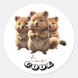 Adesivo Vinheta de Quokka