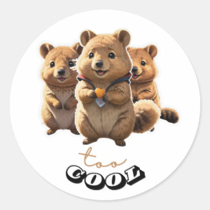 Adesivo Vinheta de Quokka