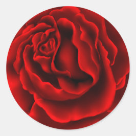 Adesivo Vinheta de Rosa vermelha Elegante