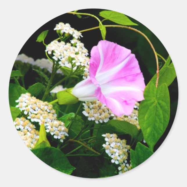 Adesivo Vinheta de selagem de envelope floral (Frente)