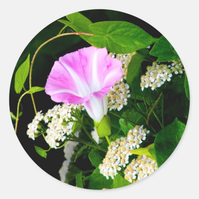 Adesivo Vinheta de selagem de envelope floral grande (Frente)