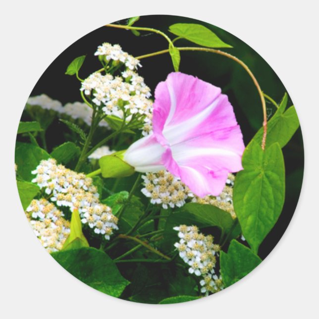 Adesivo Vinheta de selagem de envelope floral grande (Frente)