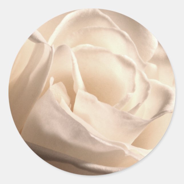 Adesivo Vinheta de selagem de envelope rosa branca (Frente)