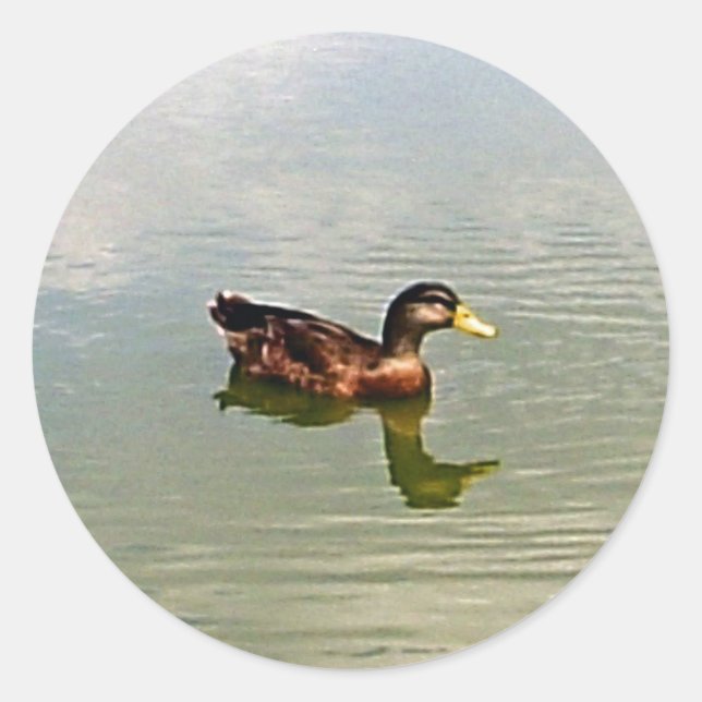 Adesivo Vinheta de selagem de envelopes de pata (Frente)