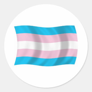 Adesivo Vinheta de Sinalizador do Orgulho Transgênero