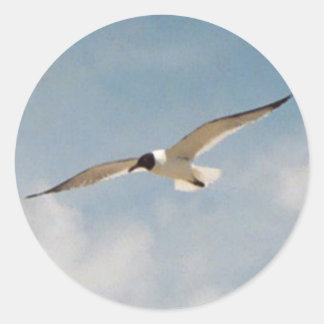 Adesivo Vinheta de Vidro de Seagull