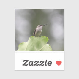 Adesivo Vinheta de vinilo com corte personalizado