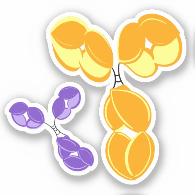 Adesivo vinheta de vinilo - IgG amarela (anticorpo) com bô (Frente)